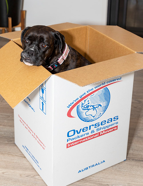 Content Marketing Moving Overseas