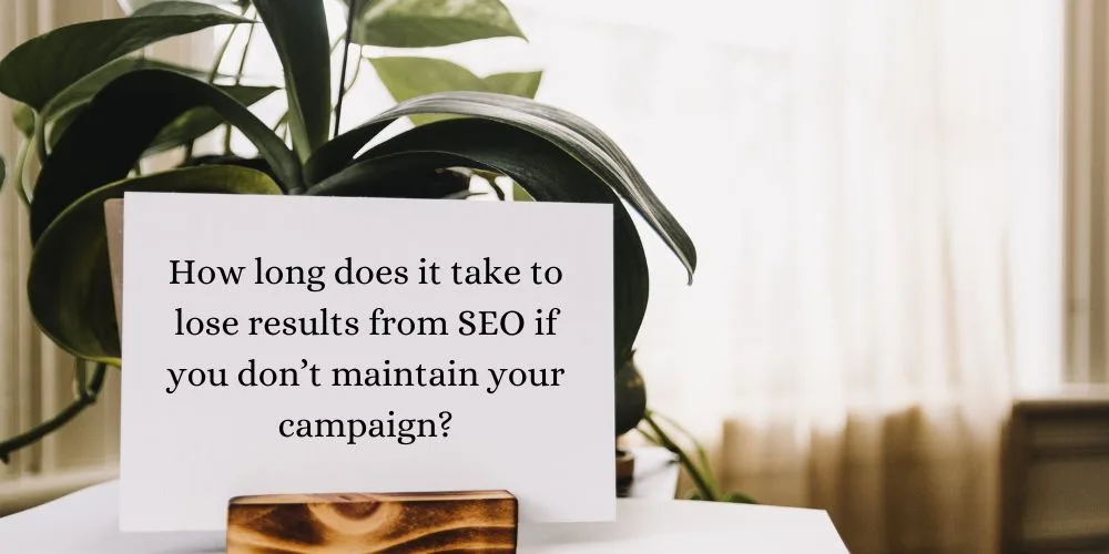 How long does it take to lose results from SEO if you don’t maintain your campaign