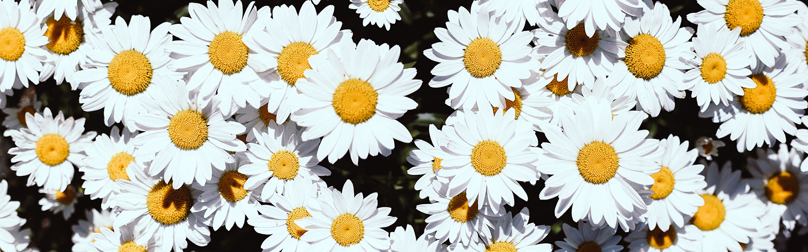 7 Reasons to Hire a Copywriter